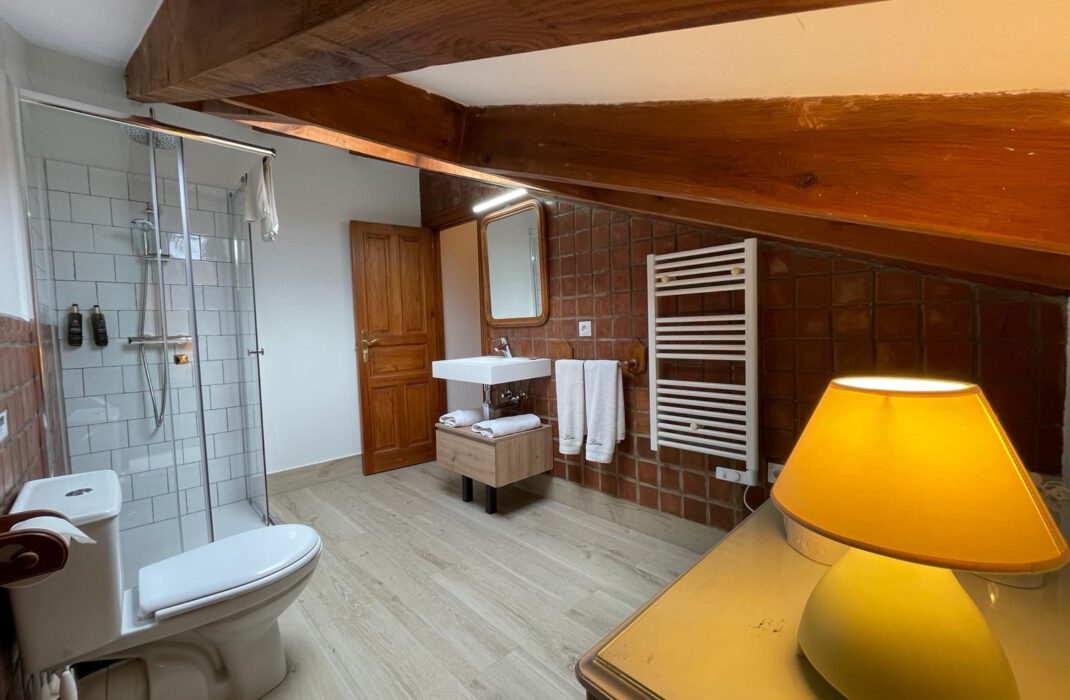 baño habitacion 7